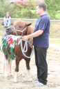 Reitturnier-Reitclub-Wahlwies-29072012-Bodensee-Community_SEECHAT_DE-IMG_3874.JPG