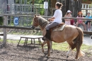 Criollos-Equitation-Hoffest-Gailingen-040812-Bodensee-Community-SEECHAT_DE-_217.JPG