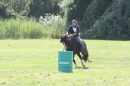 Criollos-Equitation-Hoffest-Gailingen-040812-Bodensee-Community-SEECHAT_DE-_337.JPG