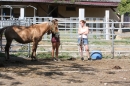 Criollos-Equitation-Hoffest-Gailingen-040812-Bodensee-Community-SEECHAT_DE-_352.JPG