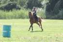 Criollos-Equitation-Hoffest-Gailingen-040812-Bodensee-Community-SEECHAT_DE-_361.JPG