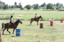 Criollos-Equitation-Hoffest-Gailingen-040812-Bodensee-Community-SEECHAT_DE-_419.JPG