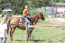 Criollos-Equitation-Hoffest-Gailingen-040812-Bodensee-Community-SEECHAT_DE-_527.JPG