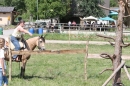 Criollos-Equitation-Hoffest-Gailingen-040812-Bodensee-Community-SEECHAT_DE-_550.JPG