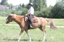 Criollos-Equitation-Hoffest-Gailingen-040812-Bodensee-Community-SEECHAT_DE-_578.JPG