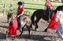 Criollos-Equitation-Hoffest-Gailingen-040812-Bodensee-Community-SEECHAT_DE-_60.JPG