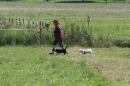 Criollos-Equitation-Hoffest-Gailingen-040812-Bodensee-Community-SEECHAT_DE-_619.JPG