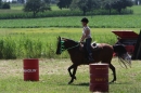 Criollos-Equitation-Hoffest-Gailingen-040812-Bodensee-Community-SEECHAT_DE-_626.JPG