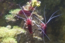 Sealife-Konstanz-231112-Bodensee-Community-SEECHAT_DE-_13.jpg