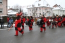 Narrentreffen-Radolfzell-20012013-bodensee-community-seechat-de_131.JPG