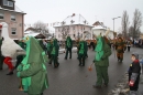 Narrentreffen-Radolfzell-20012013-bodensee-community-seechat-de_15.JPG