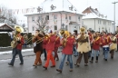 Narrentreffen-Radolfzell-20012013-bodensee-community-seechat-de_160.JPG