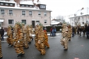 Narrentreffen-Radolfzell-20012013-bodensee-community-seechat-de_232.JPG