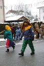 Narrentreffen-Radolfzell-20012013-bodensee-community-seechat-de_271.JPG