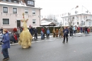 Narrentreffen-Radolfzell-20012013-bodensee-community-seechat-de_332.JPG