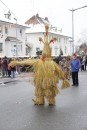 Narrentreffen-Radolfzell-20012013-bodensee-community-seechat-de_333.JPG