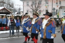 Narrentreffen-Radolfzell-20012013-bodensee-community-seechat-de_4.JPG