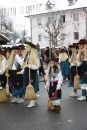 Narrentreffen-Radolfzell-20012013-bodensee-community-seechat-de_427.JPG