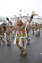 Narrentreffen-Radolfzell-20012013-bodensee-community-seechat-de_445.JPG