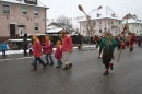 Narrentreffen-Radolfzell-20012013-bodensee-community-seechat-de_82.JPG