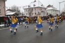 T2--Narrentreffen-Radolfzell-20012013-bodensee-community-seechat-de_166.JPG