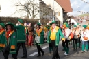 Narrentreffen-Tengen-120-Jahre-NV-Kamelia-03022013-Bodensee-Community-Seechat-de_156.JPG