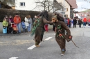 Narrentreffen-Tengen-120-Jahre-NV-Kamelia-03022013-Bodensee-Community-Seechat-de_404.JPG