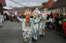 Narrentreffen-Tengen-120-Jahre-NV-Kamelia-03022013-Bodensee-Community-Seechat-de_444.JPG