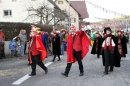 Narrentreffen-Tengen-120-Jahre-NV-Kamelia-03022013-Bodensee-Community-Seechat-de_536.JPG