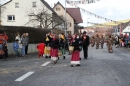 Narrentreffen-Tengen-120-Jahre-NV-Kamelia-03022013-Bodensee-Community-Seechat-de_547.JPG