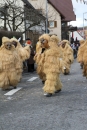 Narrentreffen-Tengen-120-Jahre-NV-Kamelia-03022013-Bodensee-Community-Seechat-de_562.JPG