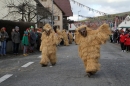 Narrentreffen-Tengen-120-Jahre-NV-Kamelia-03022013-Bodensee-Community-Seechat-de_567.JPG