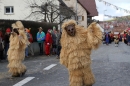 Narrentreffen-Tengen-120-Jahre-NV-Kamelia-03022013-Bodensee-Community-Seechat-de_569.JPG