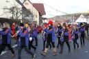 Narrentreffen-Tengen-120-Jahre-NV-Kamelia-03022013-Bodensee-Community-Seechat-de_88.JPG