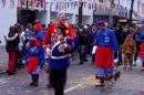 Narrenbaumumzug-Poppele-Zunft-Singen-07022013-Bodensee-Community-Seechat-de_191.JPG