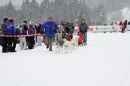 Schlittenhunderennen-Todtmoos-24022013-Bodensee-Community-Seechat_141.JPG