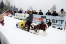 Schlittenhunderennen-Todtmoos-24022013-Bodensee-Community-Seechat_39.JPG