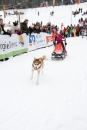 Schlittenhunderennen-Todtmoos-24022013-Bodensee-Community-Seechat_47.JPG