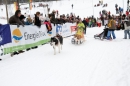 Schlittenhunderennen-Todtmoos-24022013-Bodensee-Community-Seechat_52.JPG