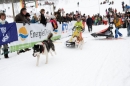 Schlittenhunderennen-Todtmoos-24022013-Bodensee-Community-Seechat_53.JPG