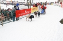 Schlittenhunderennen-Todtmoos-24022013-Bodensee-Community-Seechat_86.JPG