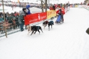 Schlittenhunderennen-Todtmoos-24022013-Bodensee-Community-Seechat_87.JPG