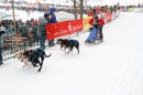 Schlittenhunderennen-Todtmoos-24022013-Bodensee-Community-Seechat_88.JPG