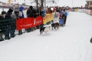 Schlittenhunderennen-Todtmoos-24022013-Bodensee-Community-Seechat_91.JPG