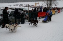 Schlittenhunderennen-Todtmoos-24022013-Bodensee-Community-Seechat_92.JPG