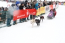 Schlittenhunderennen-Todtmoos-24022013-Bodensee-Community-Seechat_93.JPG