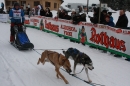 Schlittenhunderennen-Todtmoos-24022013-Bodensee-Community-seechat_de-IMG_3100.JPG