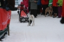 Schlittenhunderennen-Todtmoos-24022013-Bodensee-Community-seechat_de-IMG_3125.JPG