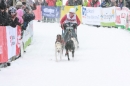 Schlittenhunderennen-Todtmoos-24022013-Bodensee-Community-seechat_de-IMG_3239.JPG