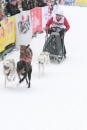 Schlittenhunderennen-Todtmoos-24022013-Bodensee-Community-seechat_de-IMG_3241.JPG